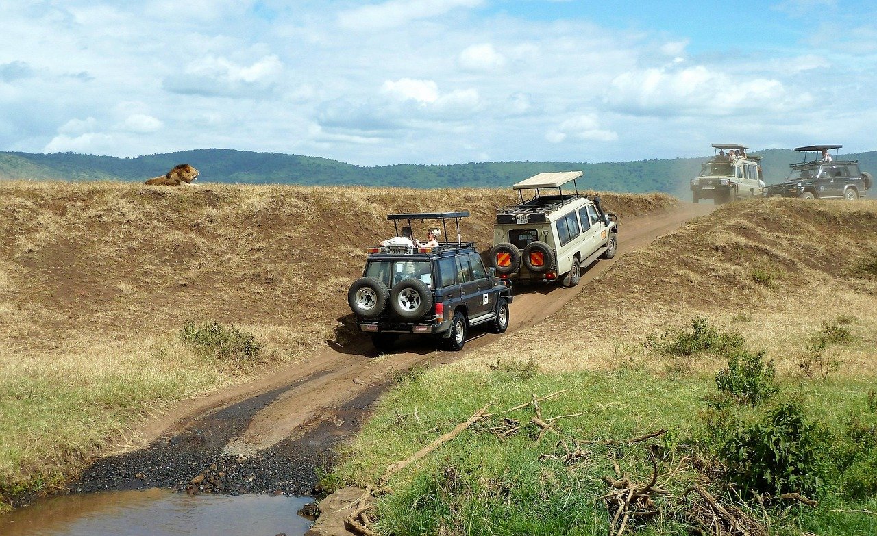 Ngorongoro Crater Safari 